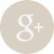 Google Plus